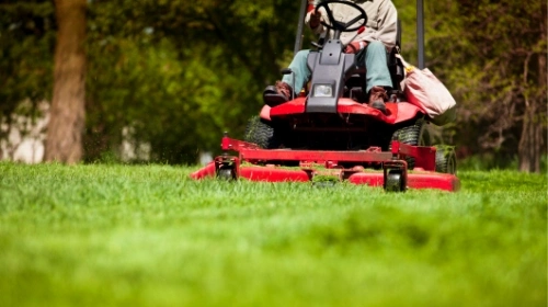 A man on a red mower cutting grass in a yard, surrounded by vibrant greenery